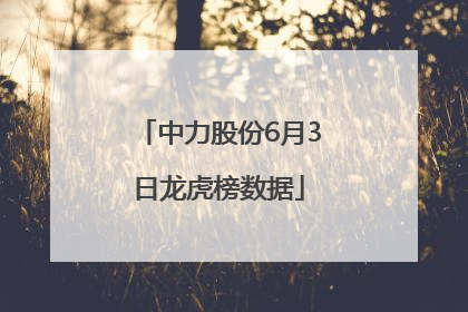 中力股份6月3日龙虎榜数据